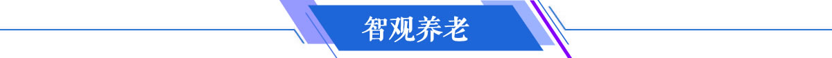 智观养老