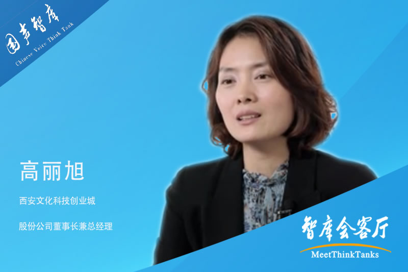 高丽旭：文化与科技融合 促进西安全面发展