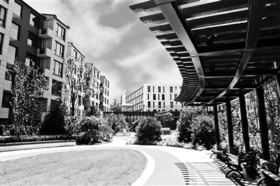 1546479661900267.jpg 1123935308_15463896631821n.jpg