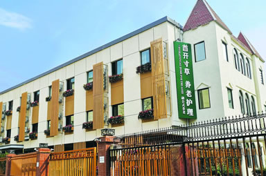 【寸草春晖】西钓鱼台分院