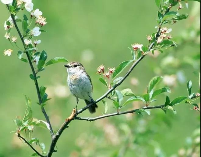 【精神家园】退休后，到底去哪儿养老好呢？