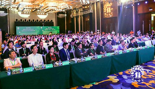 1555328516434190.jpg MAIN201904151322000204684074589.jpg