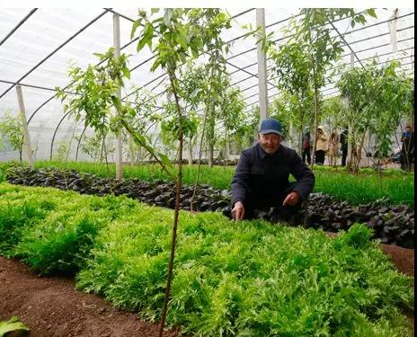 1555328645273940.jpg 12087880419260969643 (1).jpg