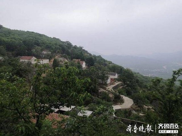 1589379238731023.jpeg 7.5.jpeg