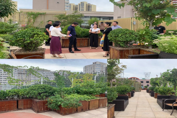 1594609153770268.jpg 1.jpg