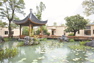 1605494491139655.jpg 02.jpg