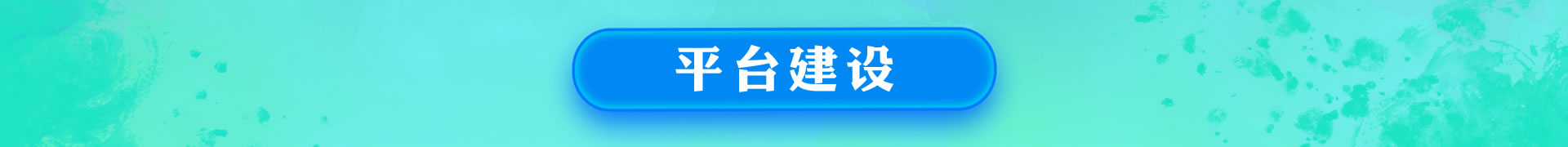 平台建设