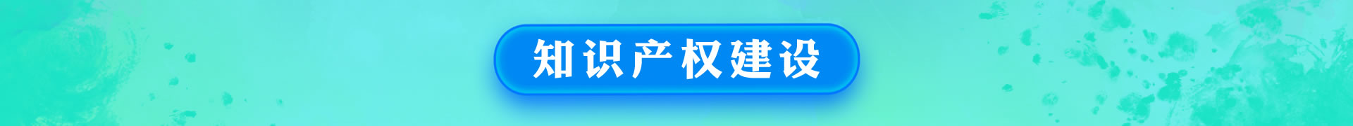 知识产权建设