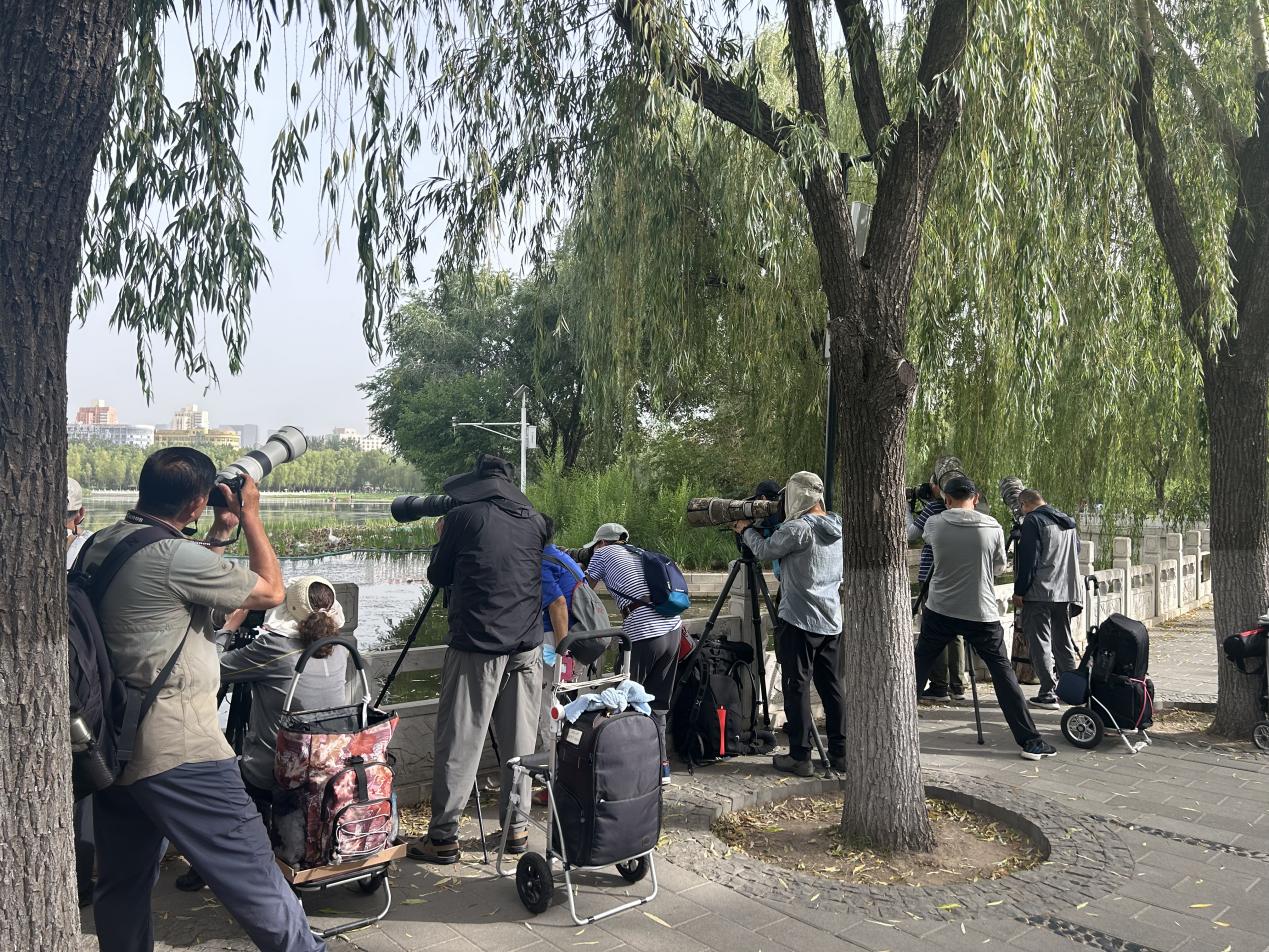 图片4.jpg 图片4.jpg